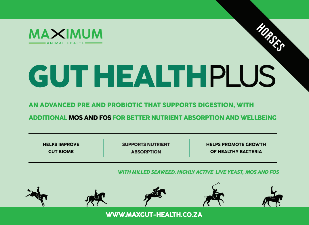 Max Gut Health Plus - Image 2