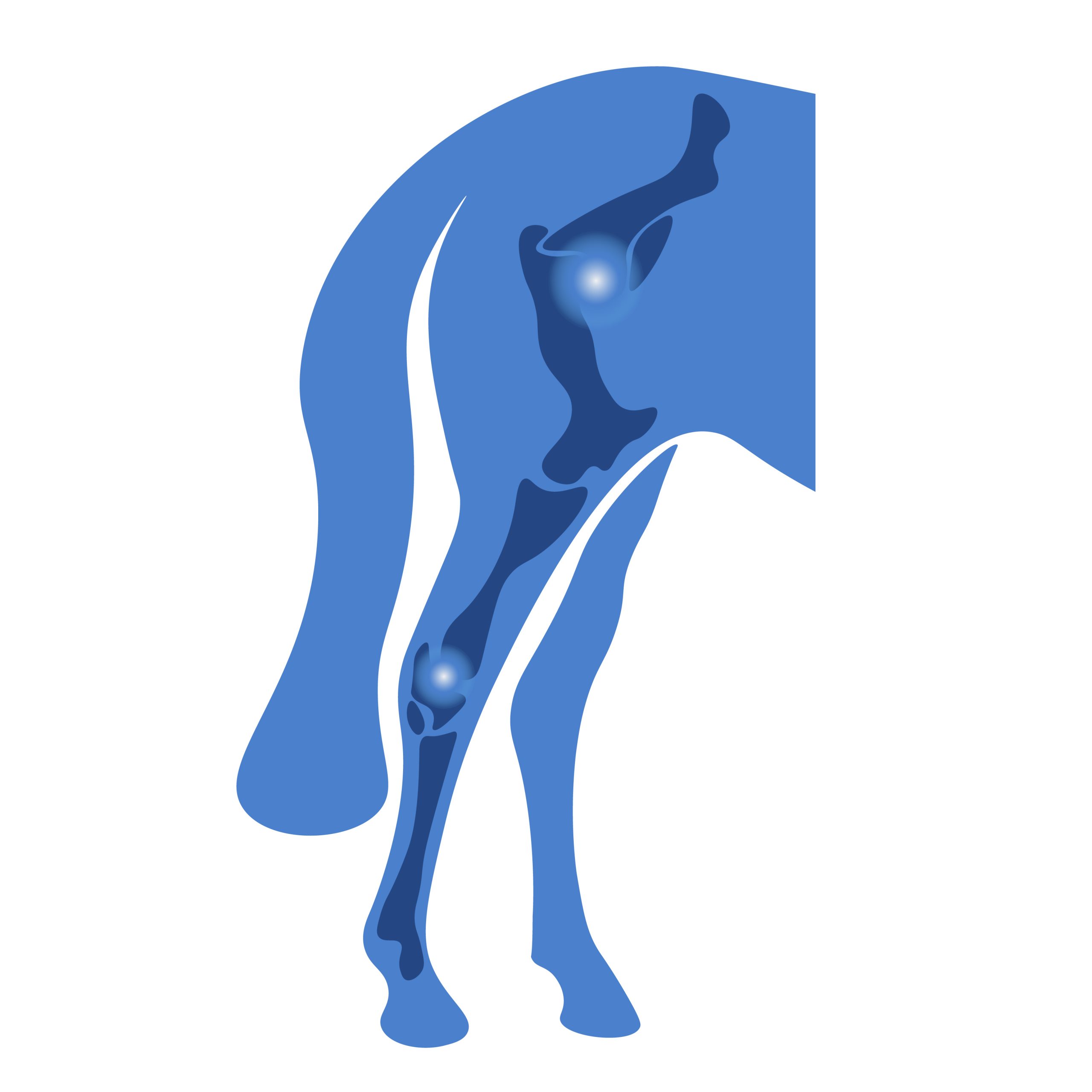 maximum joint health