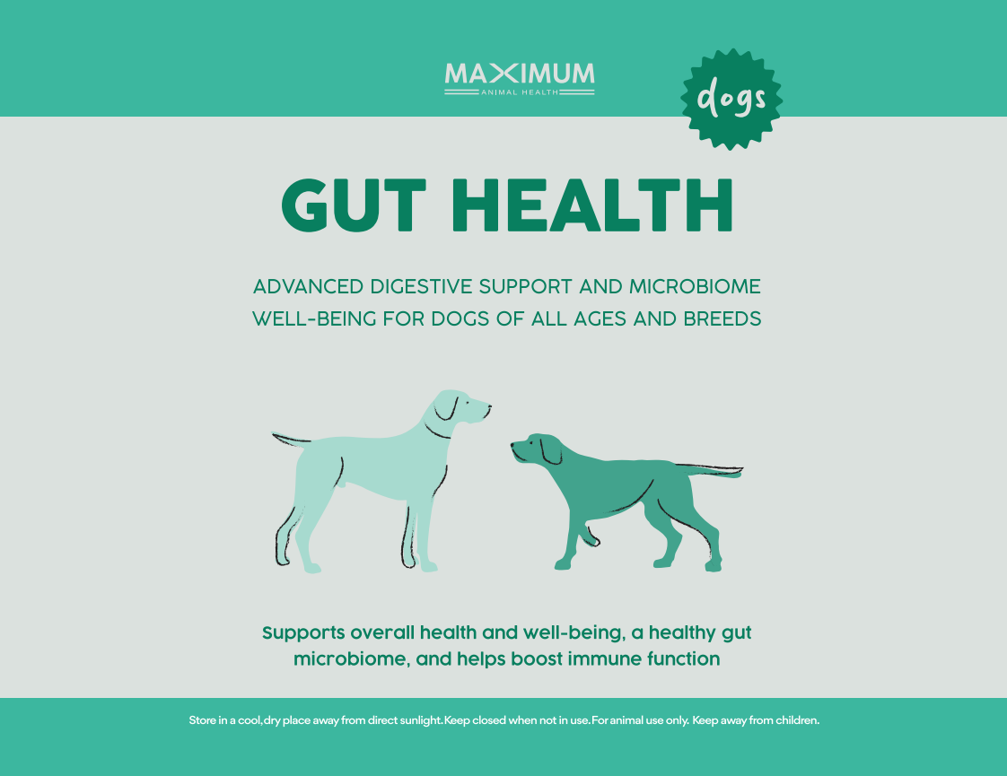 Max Gut Health for Dogs - Image 2