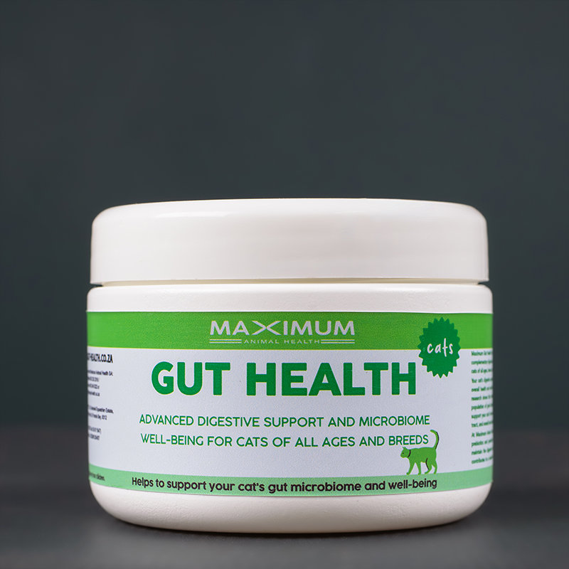 Max Gut Health for Cats