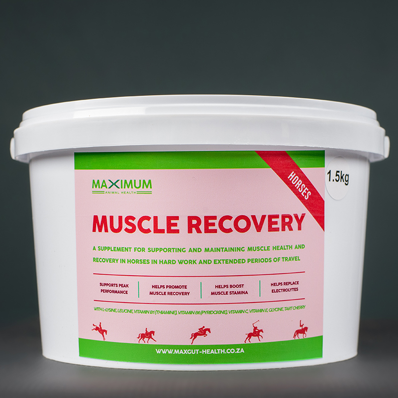 Max Muscle Recovery