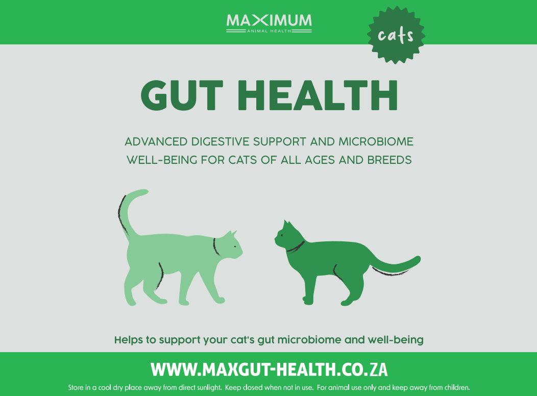 Max Gut Health for Cats - Image 2
