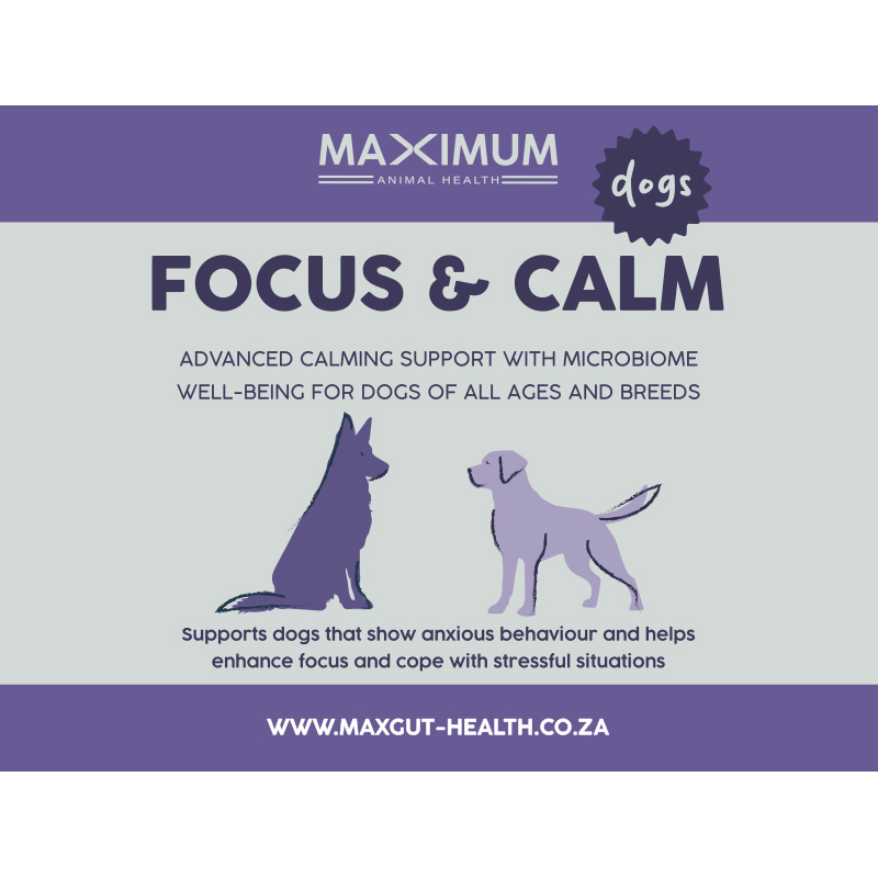 Max Focus & Calm Health for Dogs - Image 2